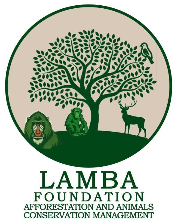 Lamba Foundation